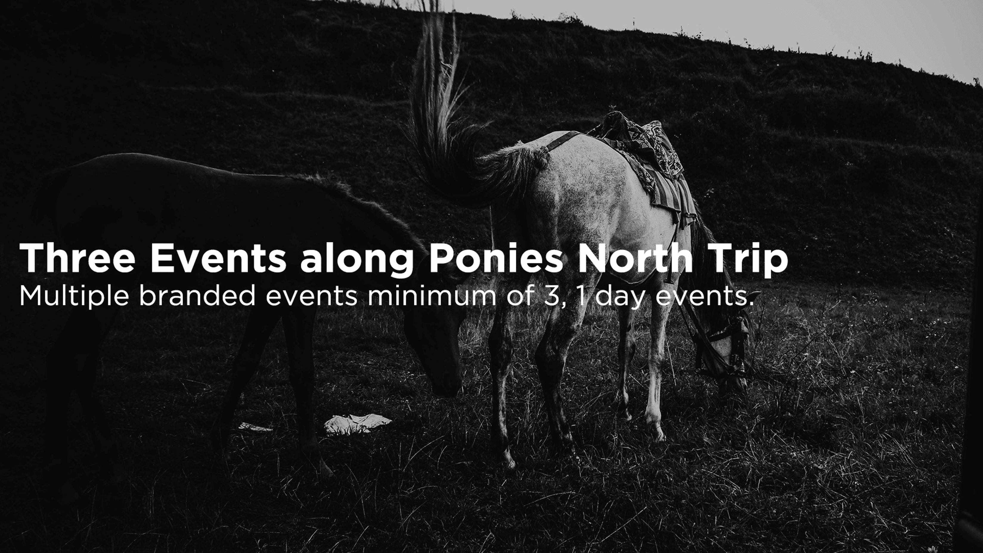 Three Events along Ponies North Trip — multiple branded events, minimum of three, one-day events. Two horses grazing, black and white.